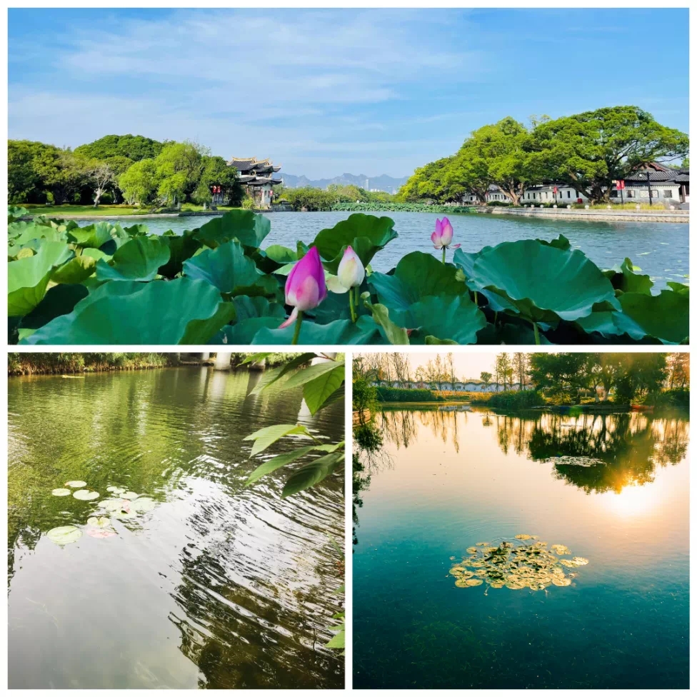 【温州】连续三个季度排全国地市前30名！温州市地表水环境质量持续改善